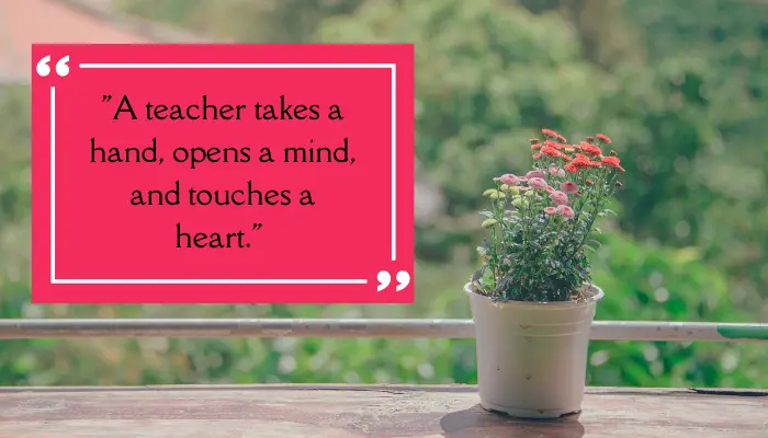 Respect for teacher quote